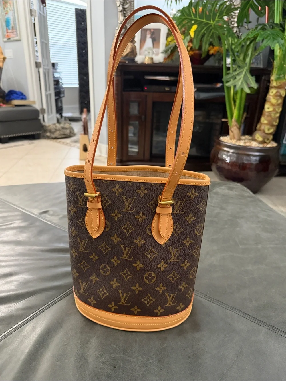 Louis Vuitton Petite Monogram Canvas Bucket Bag 23